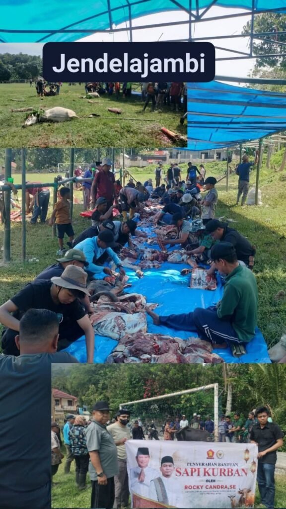 Idul Adha 2026 Desa Air Hangat Kecamatan Air Hangat Timur Pecah Rekor 11 Ekor Sapi untuk 300 KK Lebih