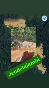 Tuntutan Massa di Depan Kantor Taman Nasional Kerinci Seblat (TNKS) Sungai Penuh